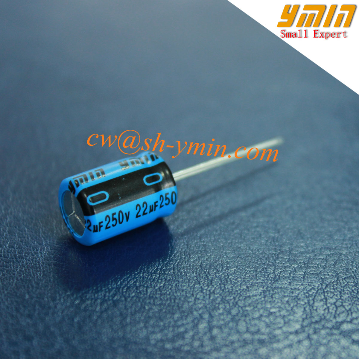 Low Voltage Capacitor Radial Aluminium Electrolytic Capacitor for LED Wall Light RoHS
