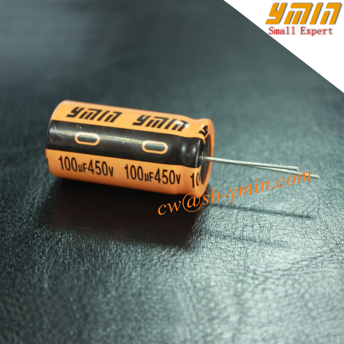 450V 100uF Capacitor Radial Aluminium Electrolytic Capacitor for LED Driver RoHS