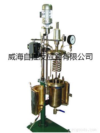  Magnetic stirring  high pressure reactor for lab