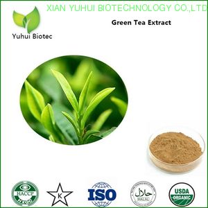 green tea extract,green tea extract powder,bio green tea extract,green tea extract egcg