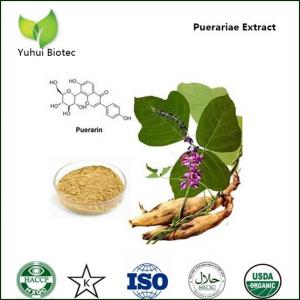 pueraria lobata extract,pueraria root extract,pueraria flavonid,kudzu root extract