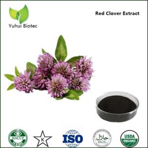 anti cancer red clover extract p.e.,red clover flower extract