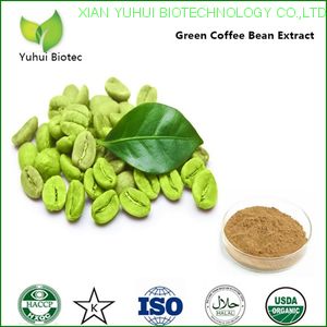 Green Coffee Bean Extract,chlorogenic acid,coffee bean extract,green coffee extract