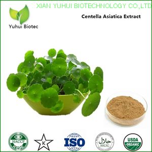 gotu kola powder,centella asiatica extract powder,centella asiatica leaf extract