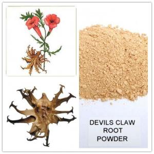 devil's claw powder,devil's claw root extract,high quality devil's claw extract