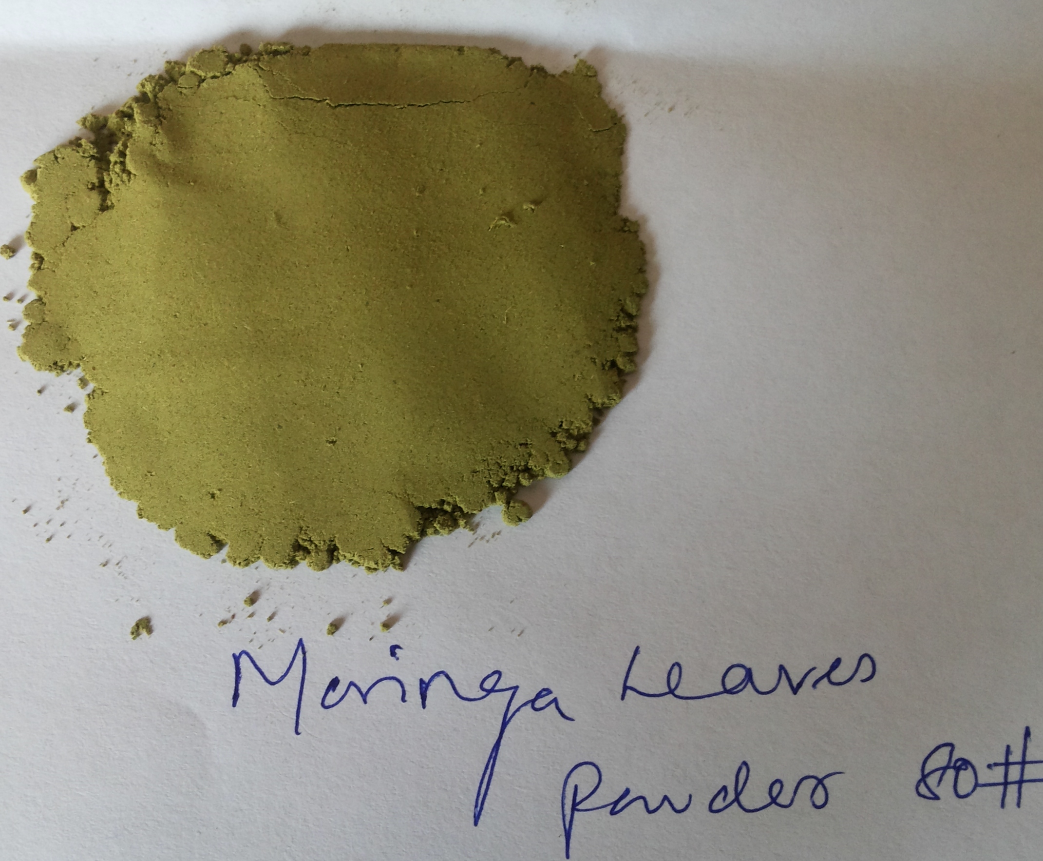 Moringa oleifera Leaves Extract 