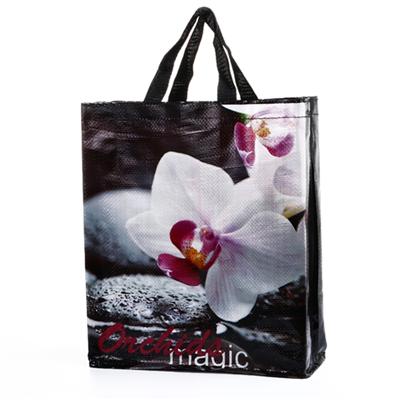 Laminated Polypropylene Bag, Fashion Tote Bag, China PP Non Woven Bag