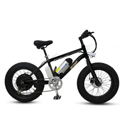 20*4.0 Inch Bottle Battery Fat Tire Mini Electric Bike