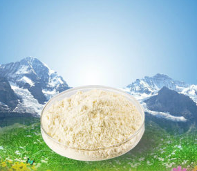 Raw Material Body Building Powder Testosterone Isocaproate