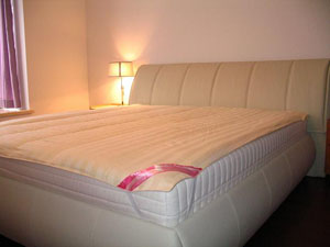 silk mattress pads/ underlay