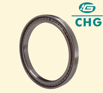 Full complement roller bearings for cranes
