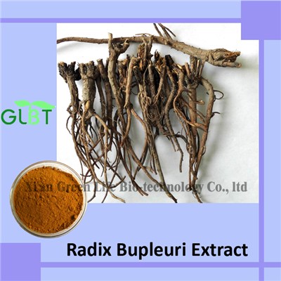 Bupleuri Radix Extract