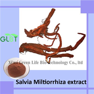 Salvia Miltiorrhiza Extract