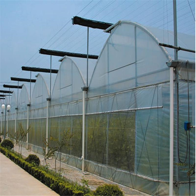 Agricultural Plastic Film Greenhouse