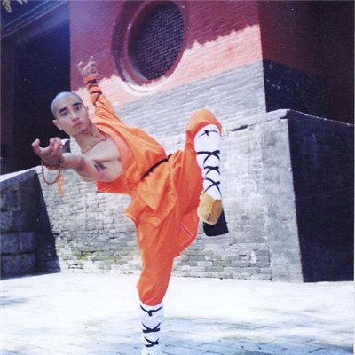 Shaolin Fist Forms