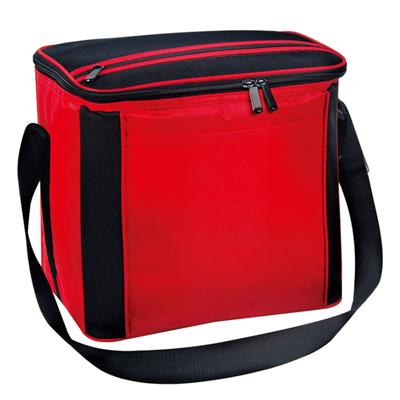 Gifted Promotional Portable Cooler Bag