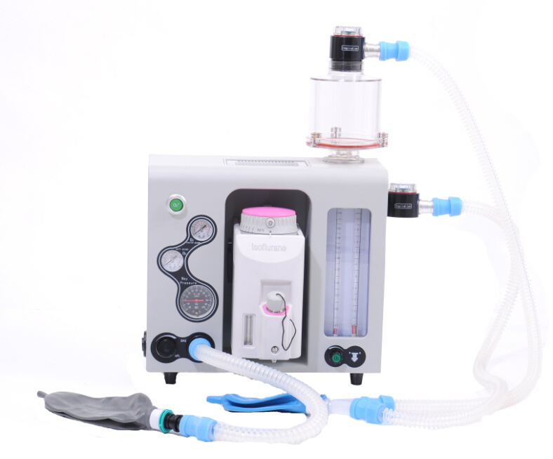 Small animal anesthesia machine for veterinary clinic 