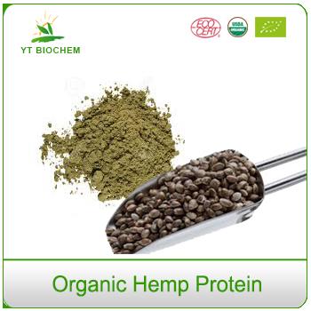 best vegan Organic Hemp Protein powder