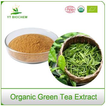 100 Organic EGCG Concentrated Decaf Cheap Green Tea Extract