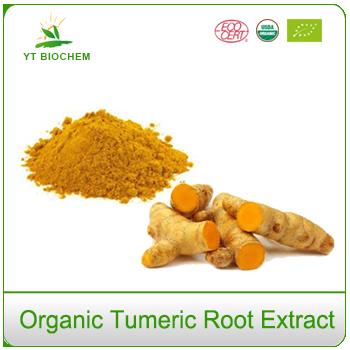 Fresh 100% Certified Organic Turmeric Curcumin Extract Powder