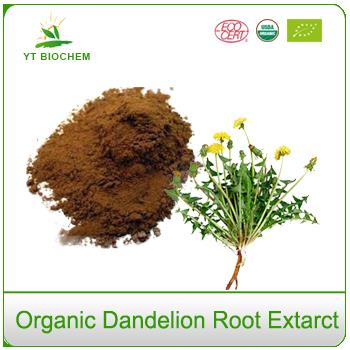 Organic Roasted Dandelion Root Extract Powder