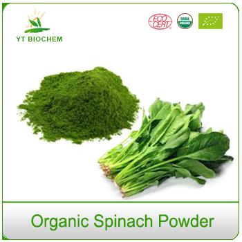 Air Dried Raw Organic Freeze Dried Spinach Powder