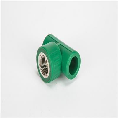 PPR Fitting Tee Female PPR Pipe Fittings DIN Standard OEM ODM Plastic PPR Products