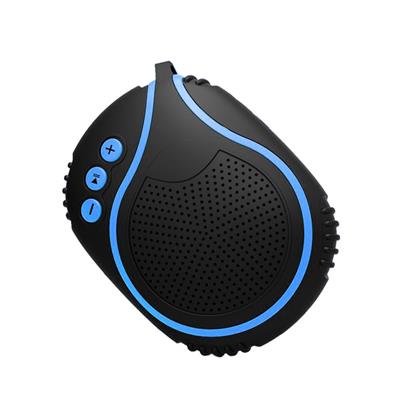 Professional Sport Bluetooth Speaker