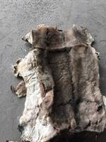  Dry and Wet Salted Donkey Hides 