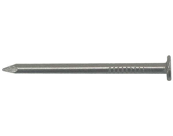 2 common steel round  head nails