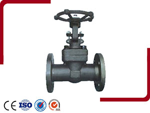 Forged Steel Flange And Butt-Welded Gate Valve