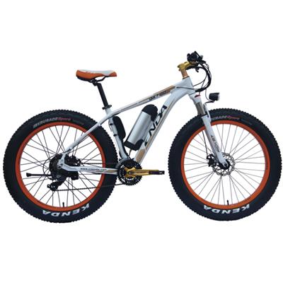Hot Sell 26 Inch Snow Ebike For Adult With 21 Speed