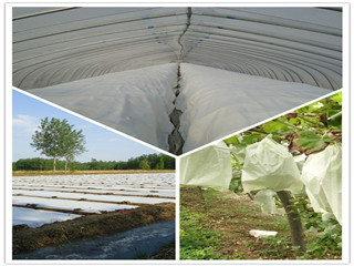 Agriculture Nonwoven