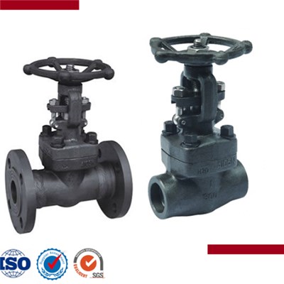 Forged Steel Female Threaded And Socket Welded Gate Valve