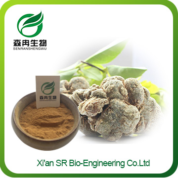 San Qi Powder,Wholesale Panax Notoginseng Extract
