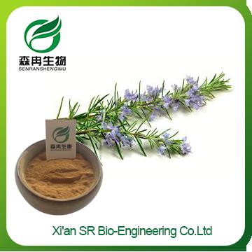 Rosemary Extract Powder,Factory Supply High Quality Rosmarinus Officinalis Extract,Rosemary Extract Antioxidant