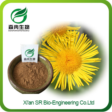 Inula powder,China Supplier Hot Sale Elecampane Extract,top Quality Inula Helenium Extract