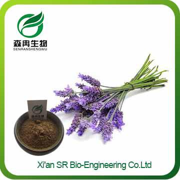 Lavender Extract,Hot Selling 100% Natural Organic Lavender Extract,Pure Lavender Extract Powder