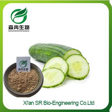 Organic Cucumber Extract,100% Natural Cucumber Powder,Wholesale  Cucumber Extract Powder
