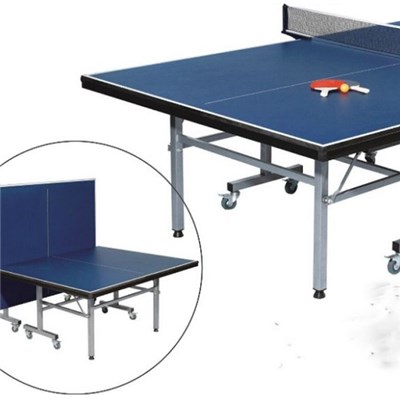 Table Tennis Table Panel
