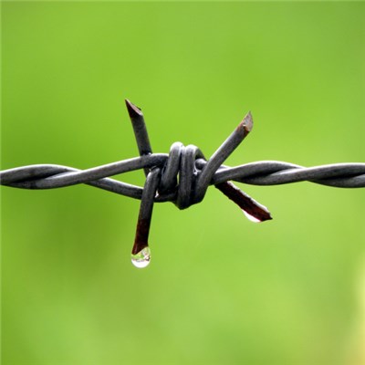 Double Strand Barbed Wire