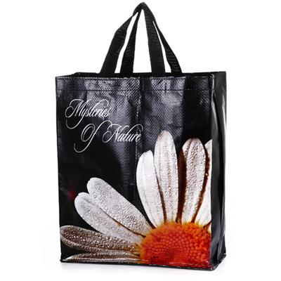 Color Printed PP Shopping Bag, Customized Sizes and Designs are Accepted 