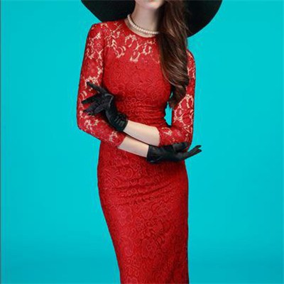 Sexy Round Neck Long Sleeve Lace Full Lining Slim Fit Dress