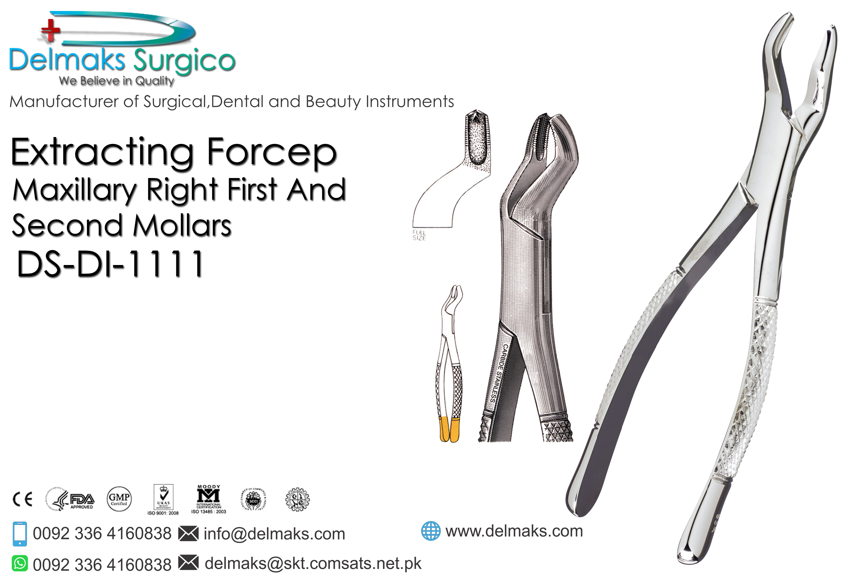 Extracting Forcep Mandibular First and Second Molars-Oral and Maxillofacial Surgery Instruments-Dental Instruments-Delmaks Surgico 