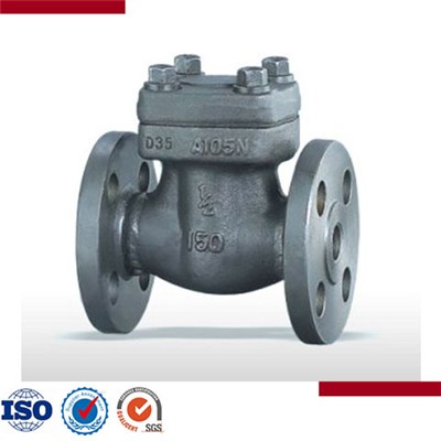 Forged Steel Flanged And Butt-Welded Check Valve