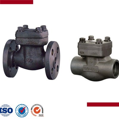 Forged Steel Female Threaded And Socket Welded Check Valve
