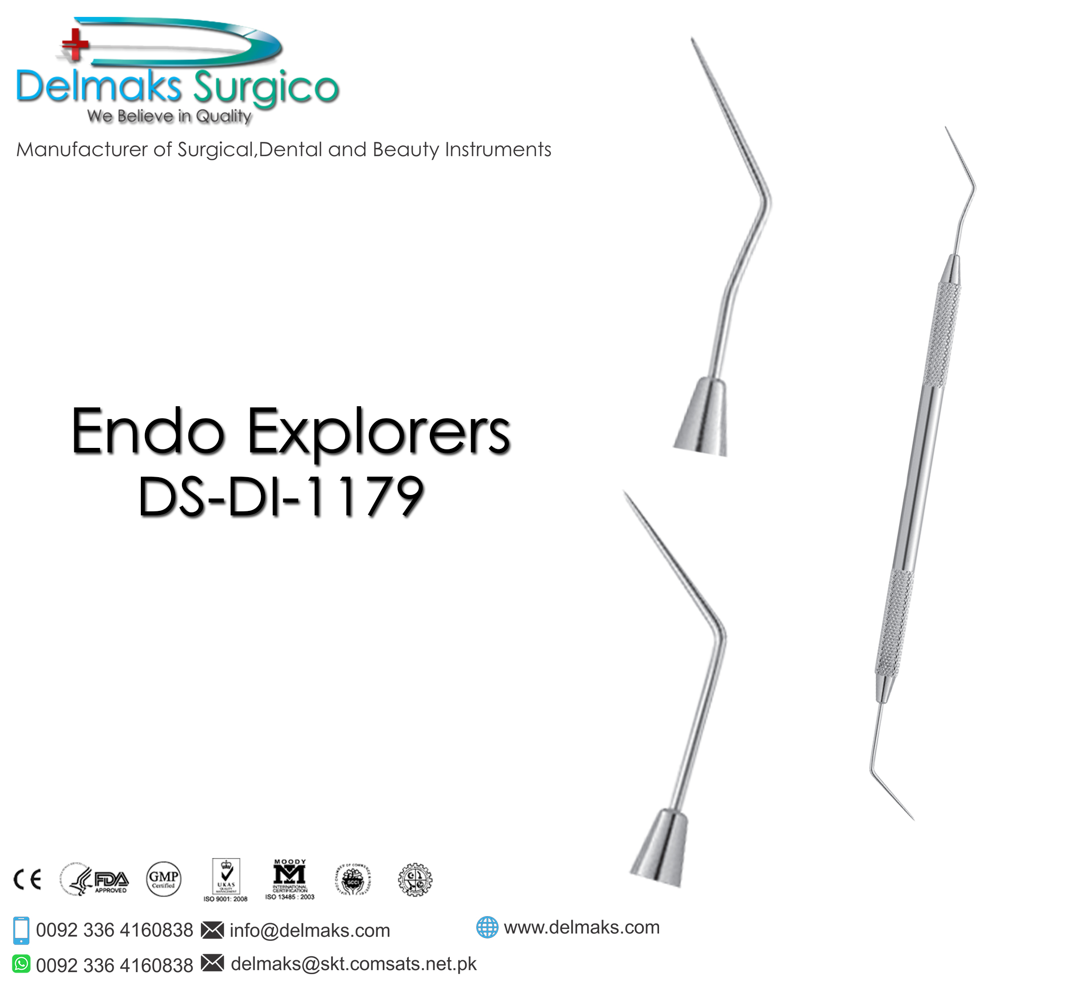 Endo Explorers-Endodontic Instruments-Dental Instruments-Delmaks Surgico