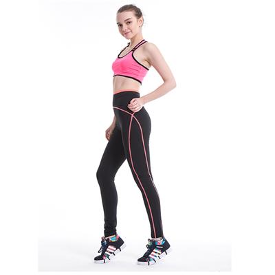 Double Lines Stretched Sporty Leggings