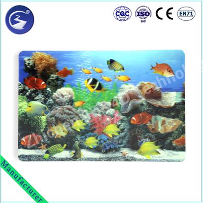 CE certificated 3D Ocean Scenery Placemat,3D Sea Scenery Placemat