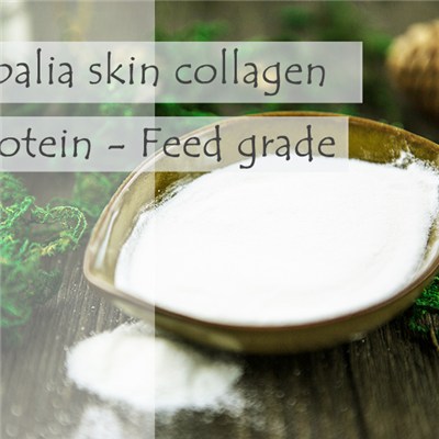 Fish Collagen Protein For Pet Food- Feed Grade